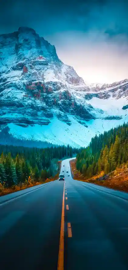 主题背景图片