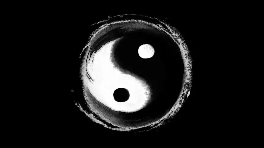 最喜欢的图像