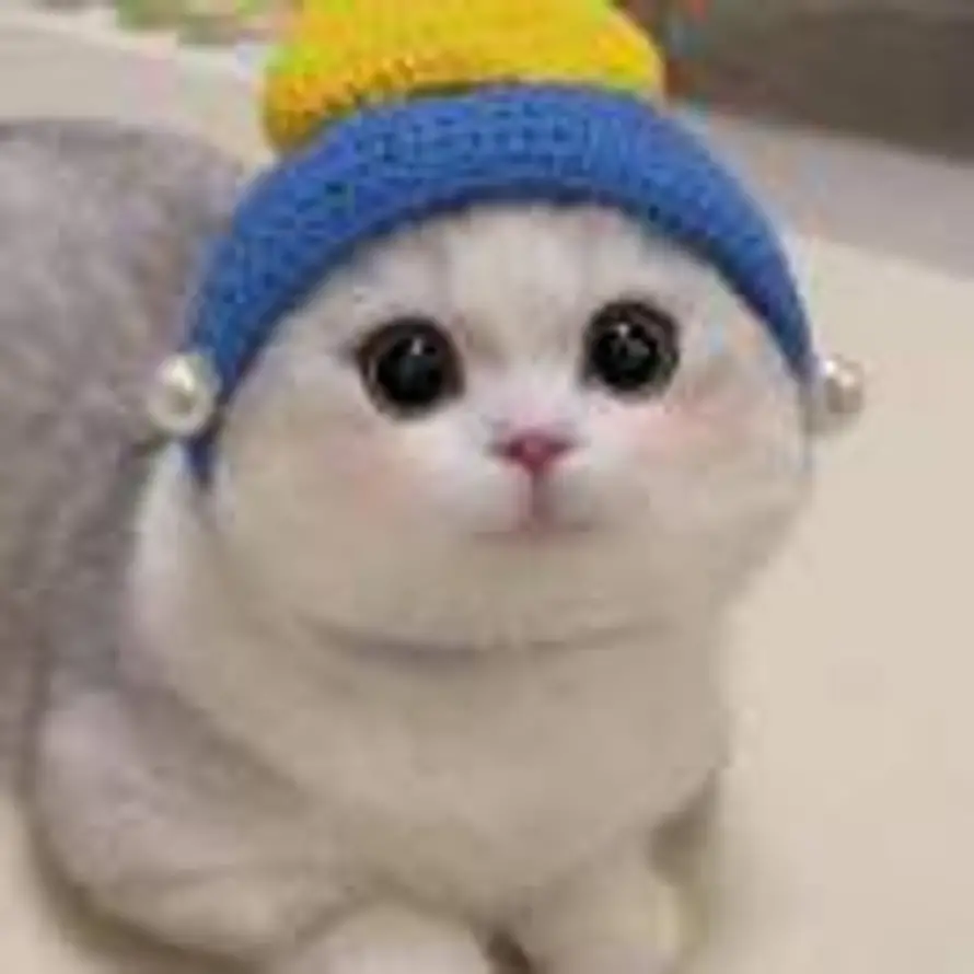 Xhua的头像