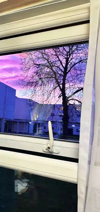 最喜欢的图像