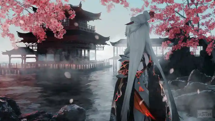 最喜欢的图像