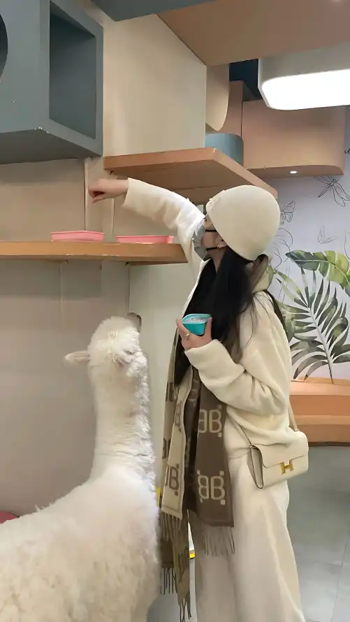 主题背景图片