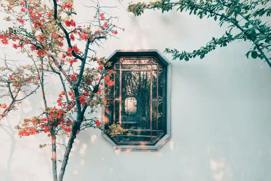 最喜欢的图像