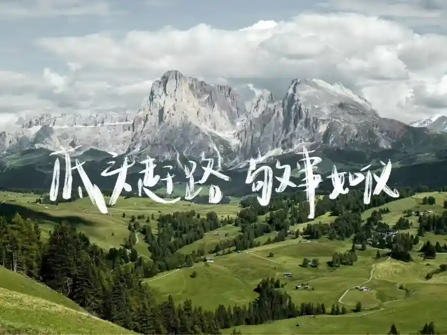 最喜欢的图像