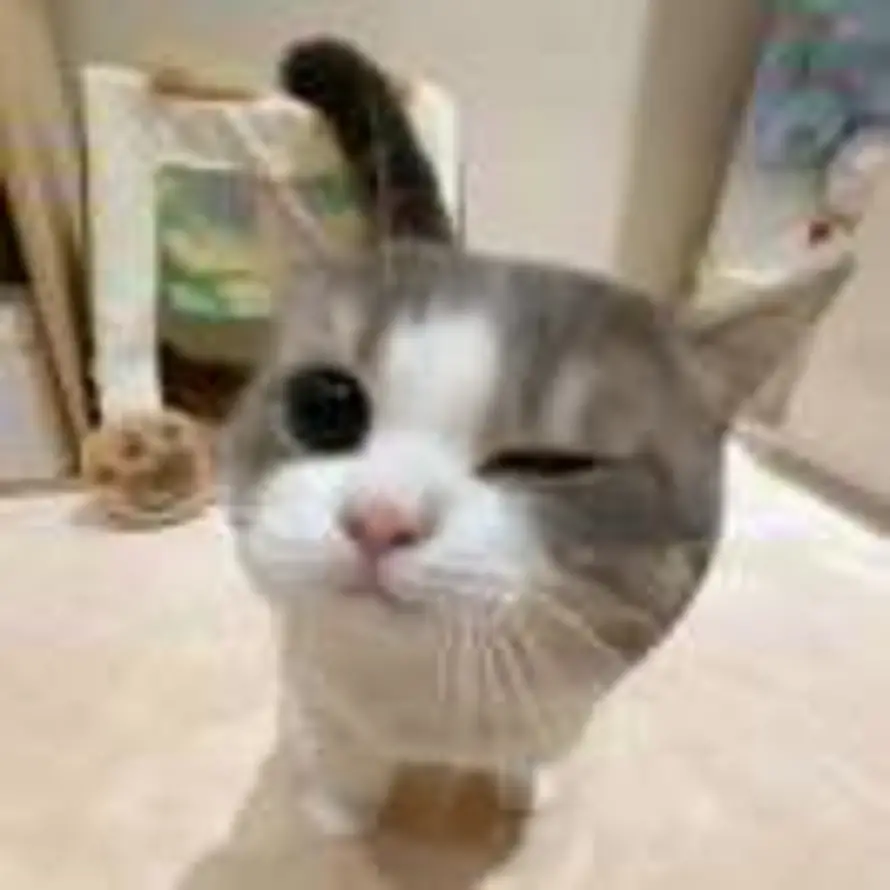 咩咩野,  ๓°的头像