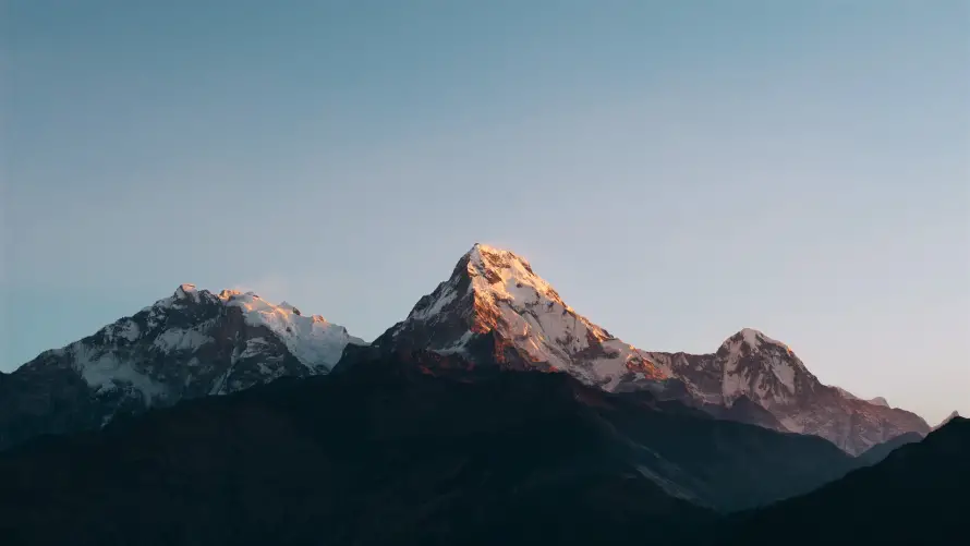 最喜欢的图像