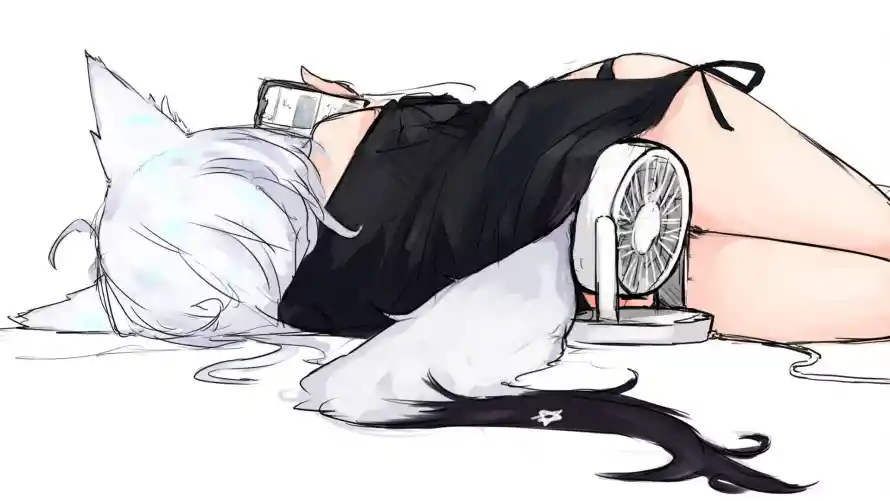 最喜欢的图像