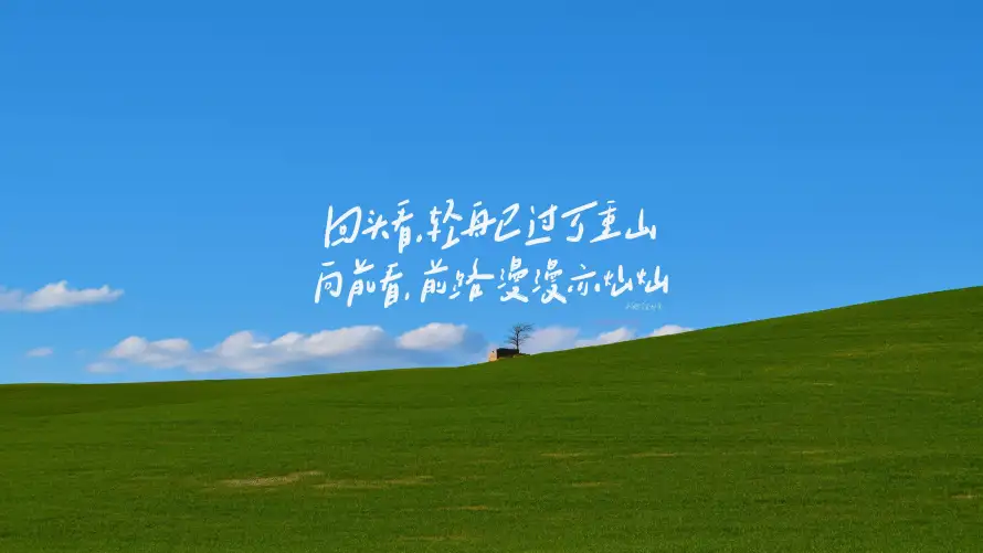 最喜欢的图像