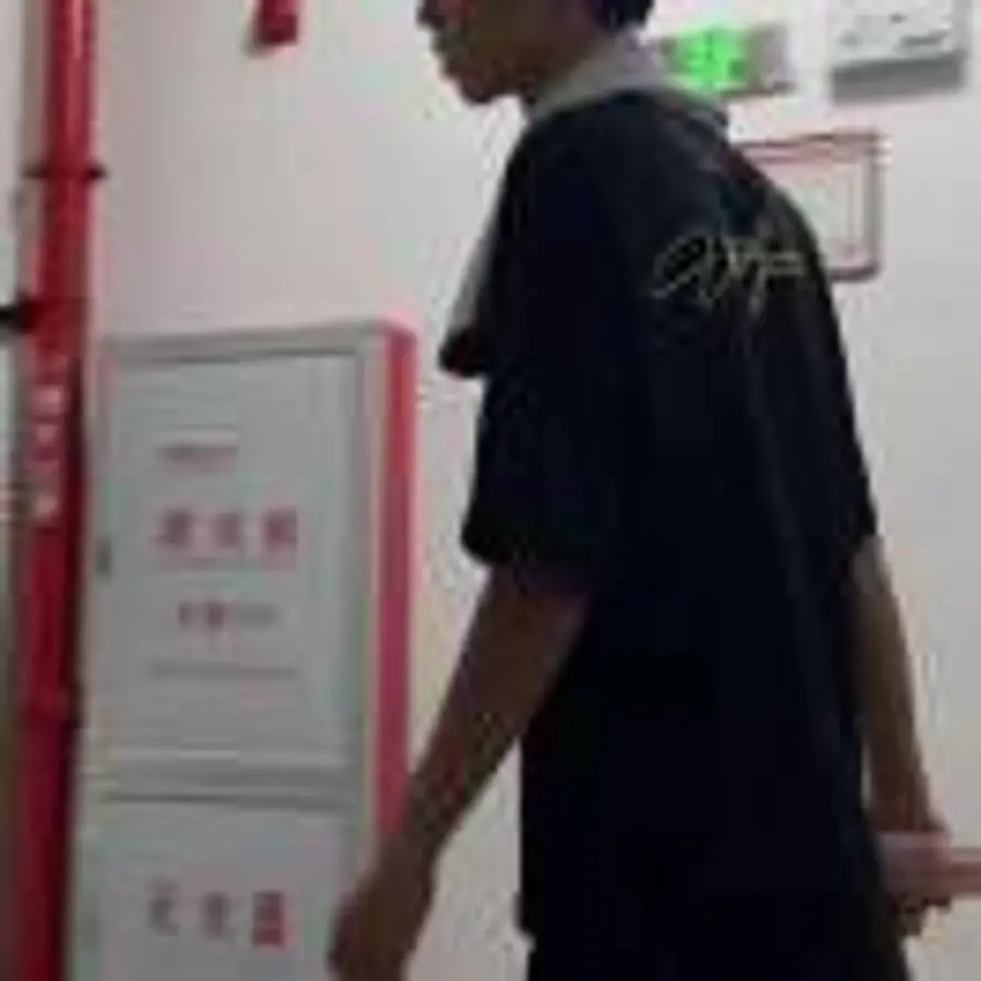 wx树叶的头像