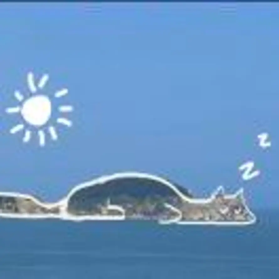 拾诉的头像