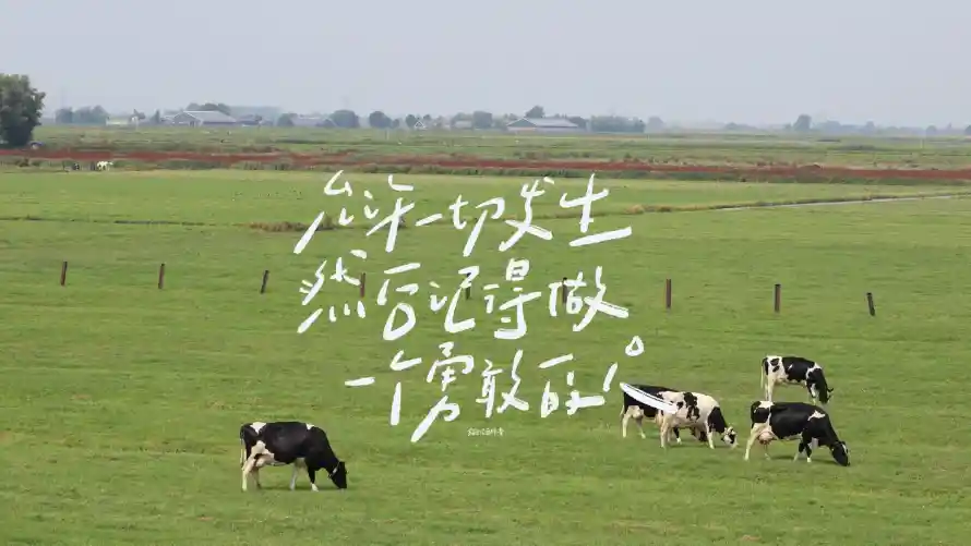 2k手写壁纸-风景与-热门的壁纸「哲风壁纸」