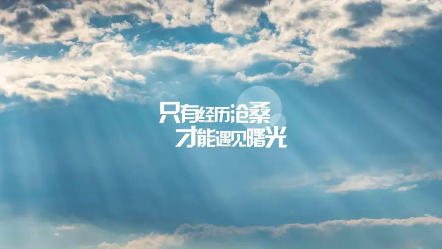 最喜欢的图像