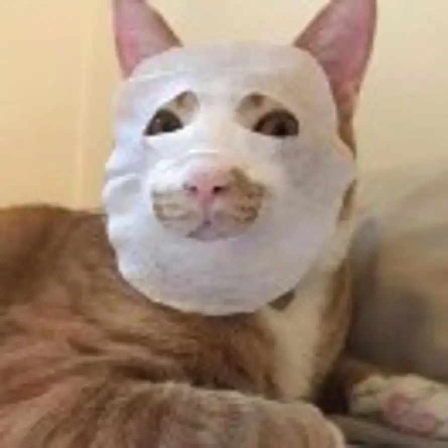 Walmt的头像