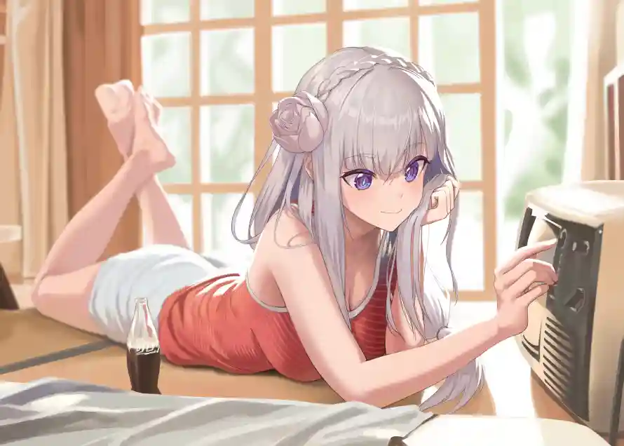 4k少女壁纸 - 玉足 - 白毛 - wallpaper「哲风壁纸」