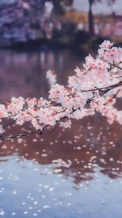 主题背景图片