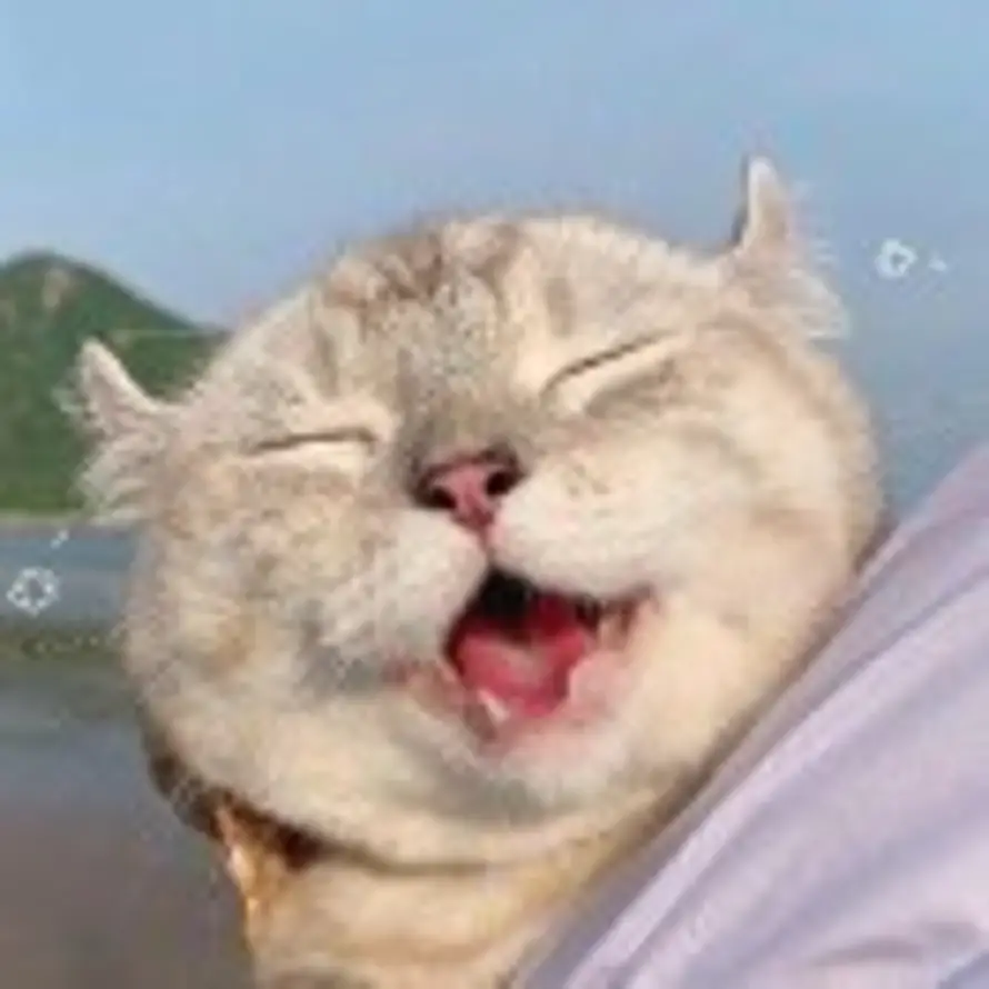 镕宝的头像