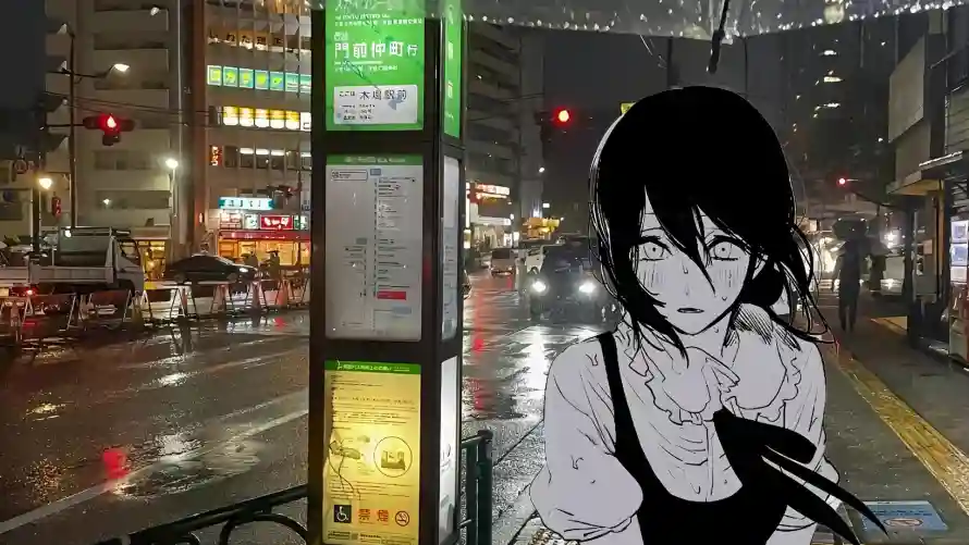 最喜欢的图像