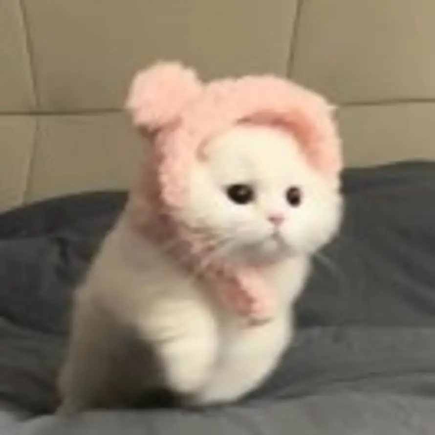 weixin的头像