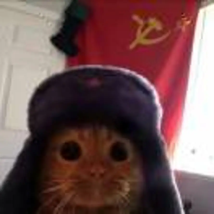 ㅤㅤㅤ的头像