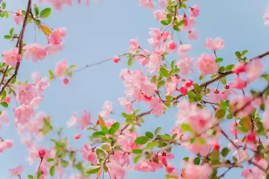 3k自然壁纸-风景壁纸和-壁纸分享「哲风壁纸」