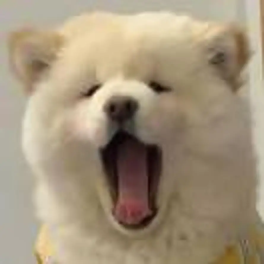 Hver dag er søndag的头像