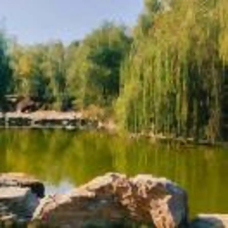 七安的用户头像 - 哲风壁纸