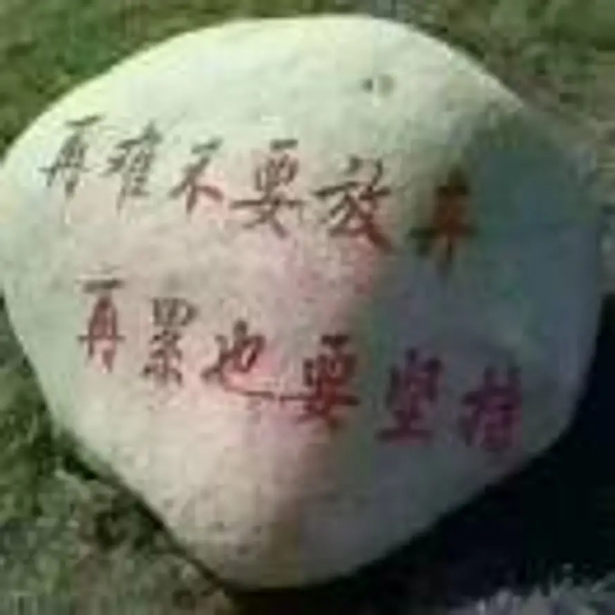 远东物流对账-小黄19177710352的用户头像 - 哲风壁纸