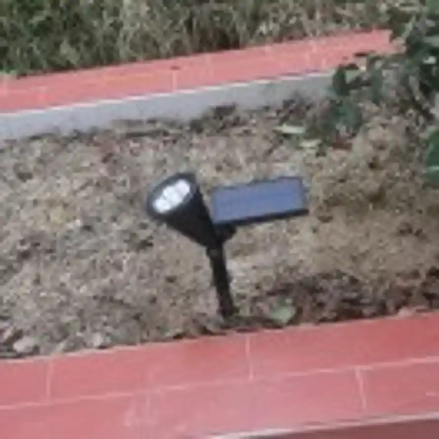 地方的头像
