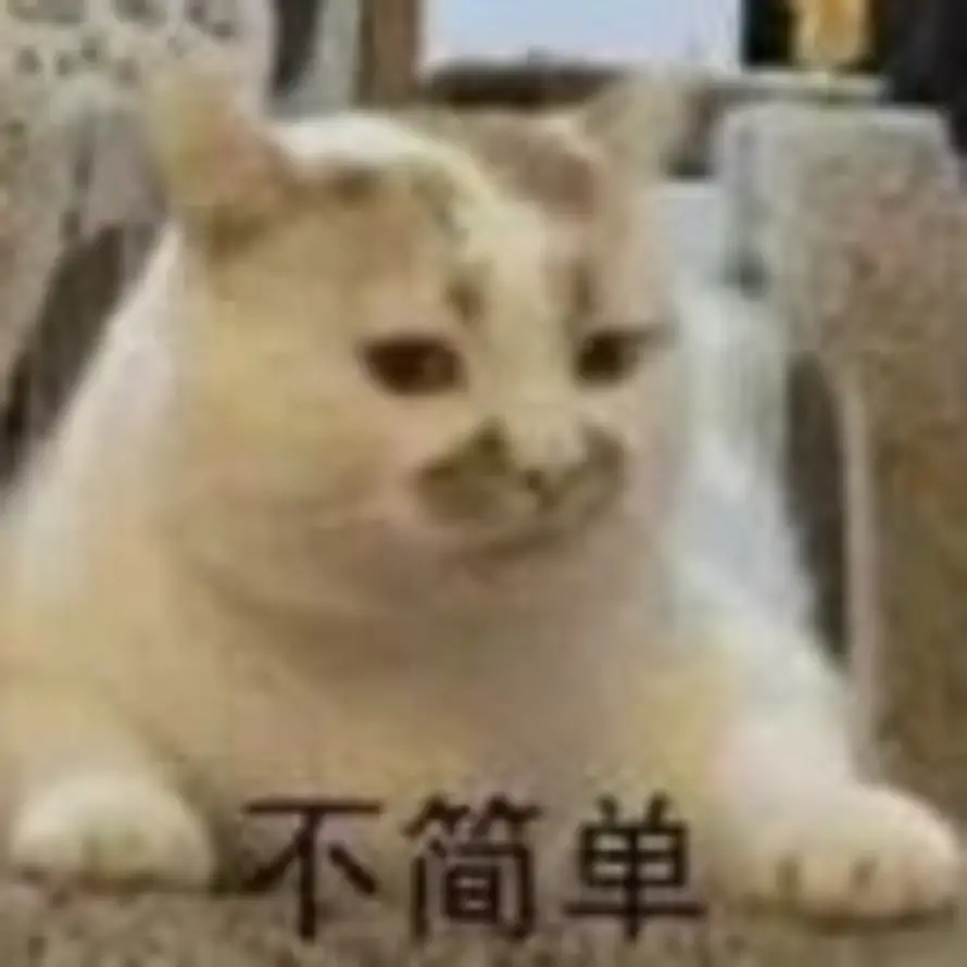 皮皮猪🐷的用户头像 - 哲风壁纸