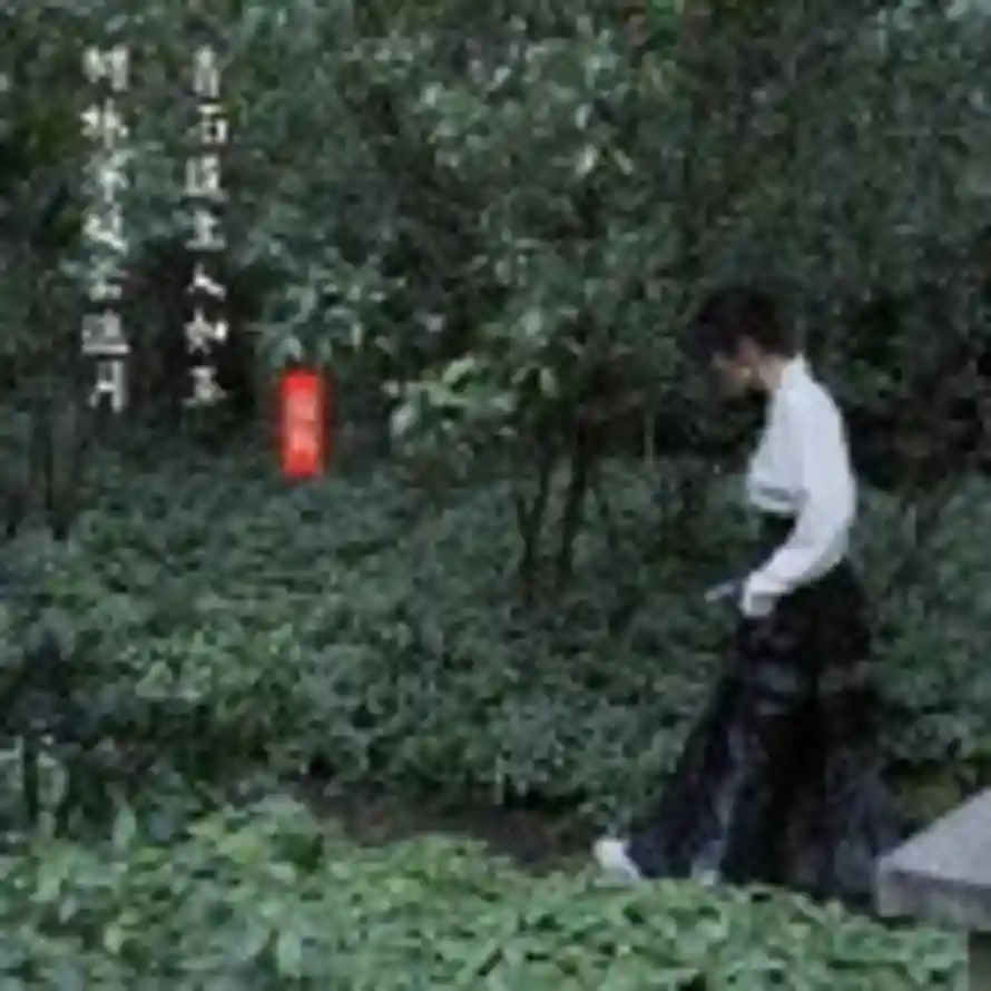 木 直的头像