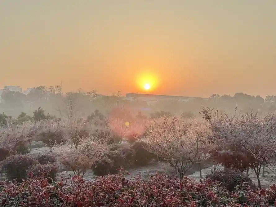 4k初升壁纸 - 风景 - 电脑壁纸 - wallpaper「哲风壁纸」 4k初升壁纸 - 风景 - 电脑壁纸 - wallpaper「哲风壁纸」