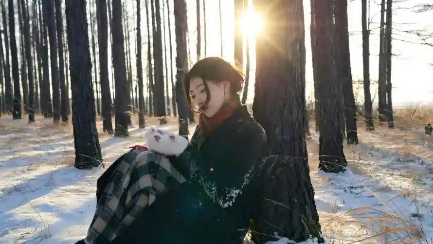 2k唯美壁纸-静坐和美女-壁纸分享「哲风壁纸」