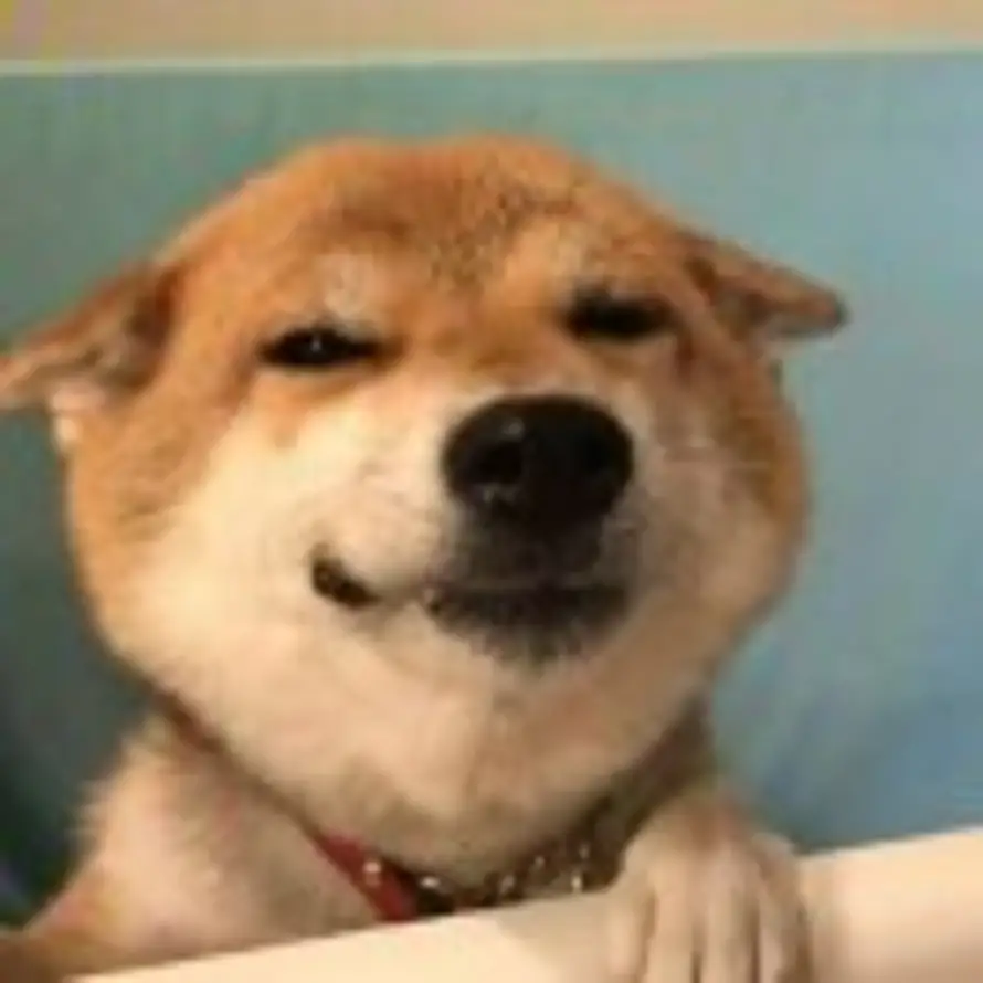 二百的头像