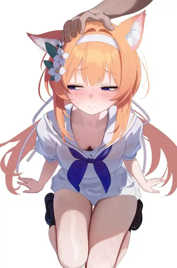 主题背景图片