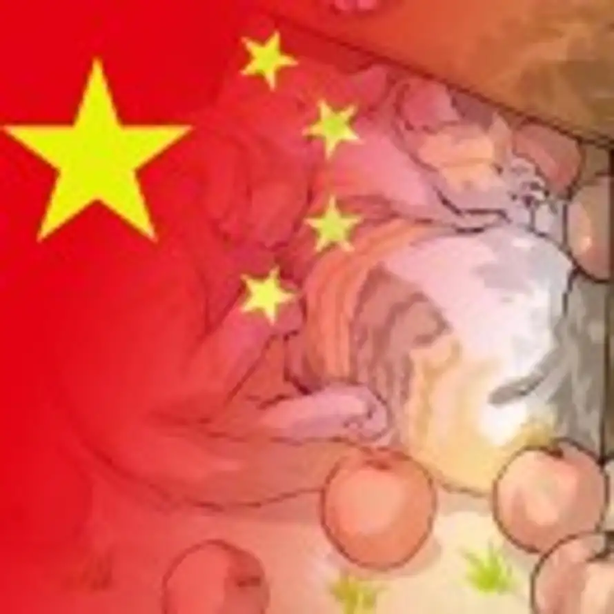 小凯的头像