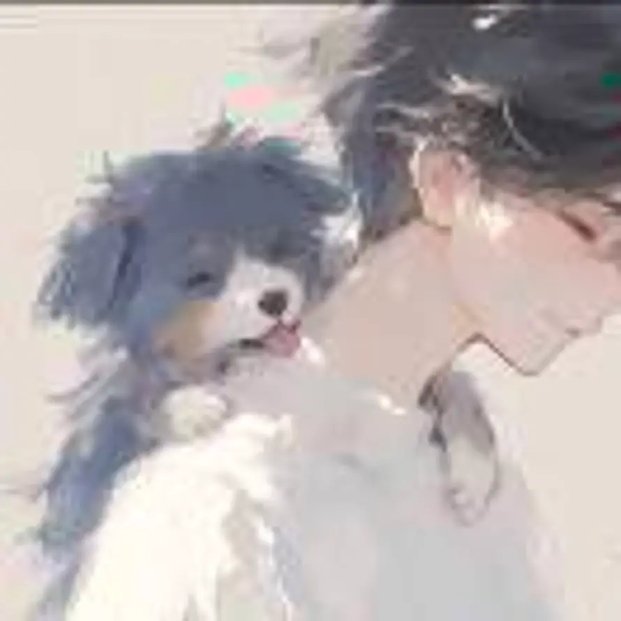 槐的头像