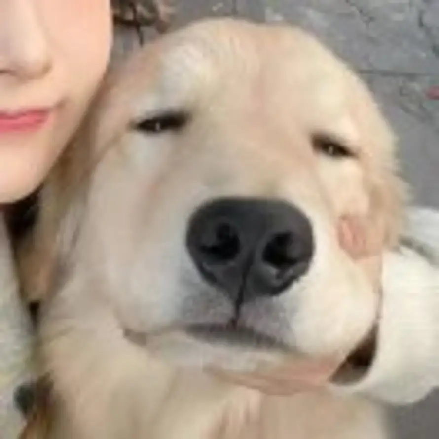 C.的头像