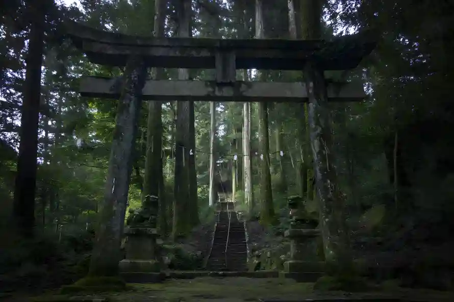 4k森景壁纸 - 幽谧风 - 日本神社 - 神社牌坊「哲风壁纸」