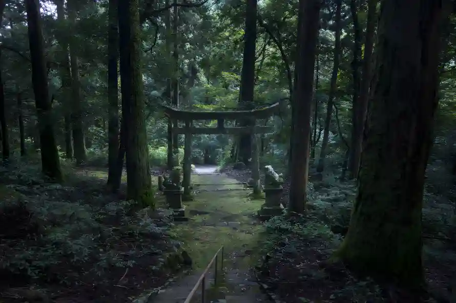 3k丛林风光壁纸-山间丛林 - 日本神社-森林神社「哲风壁纸」