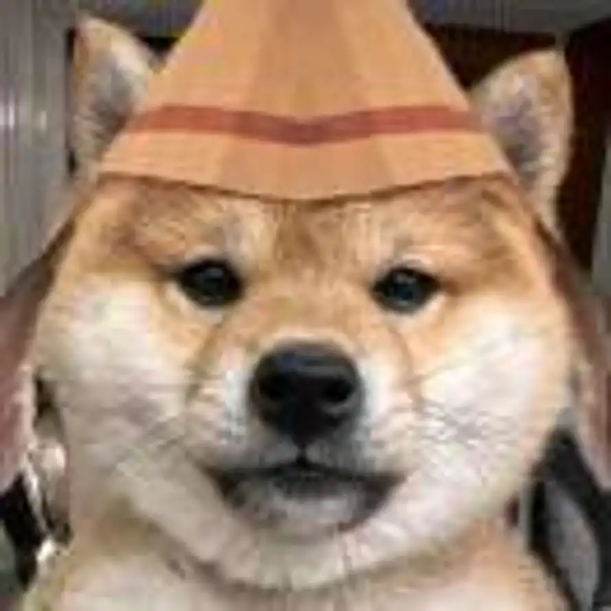 Aquar的头像