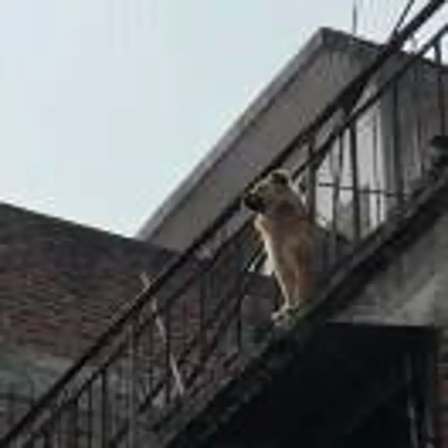  的头像