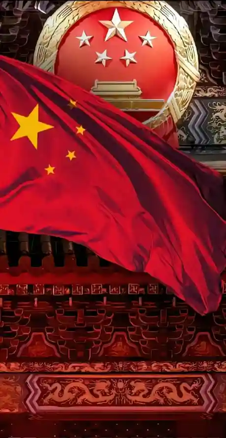 最喜欢的图像
