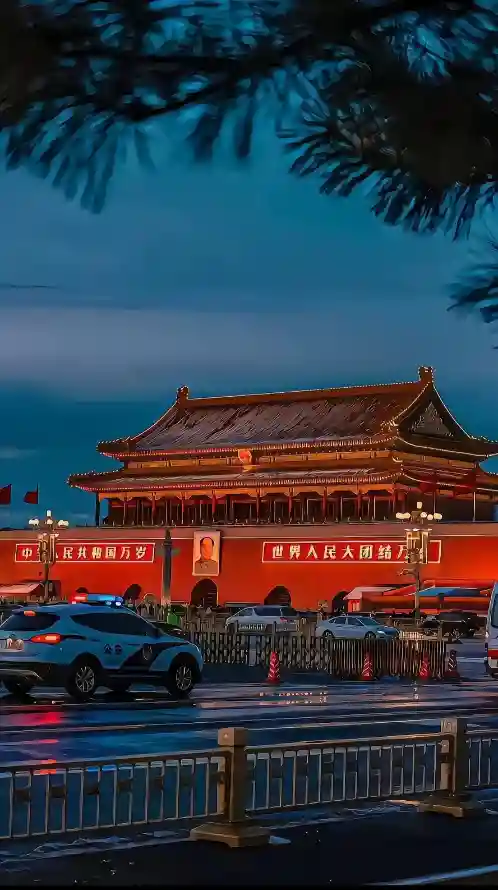 最喜欢的图像