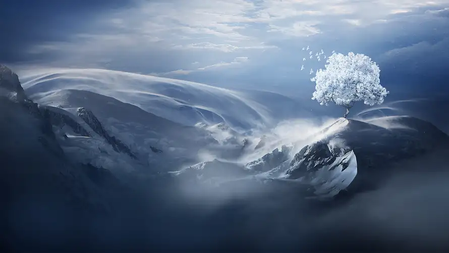 4k孤树壁纸 - 自然 - 雪景 - 风景「哲风壁纸」 4k孤树壁纸 - 自然 - 雪景 - 风景「哲风壁纸」