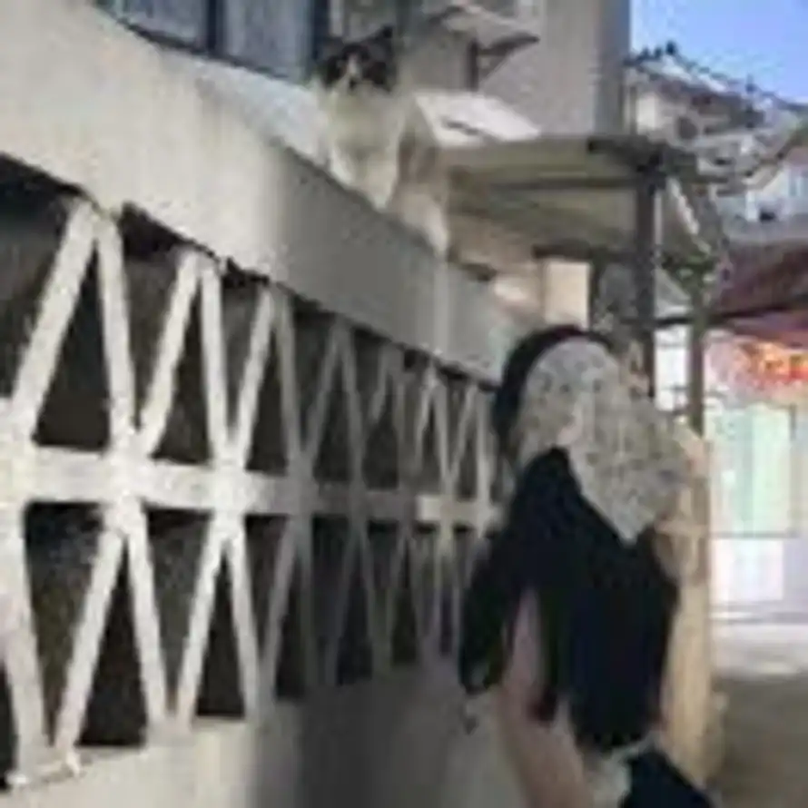 ͤ的头像