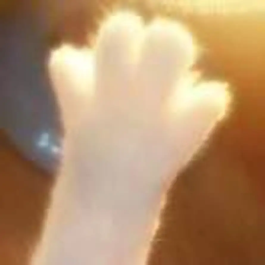 Handy的头像
