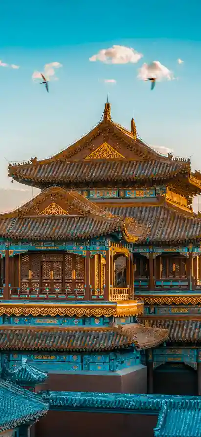 主题背景图片