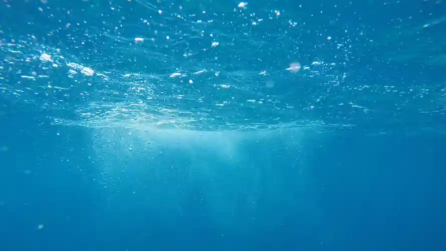 4k景观壁纸 - 海 - 水下 - 水底「哲风壁纸」