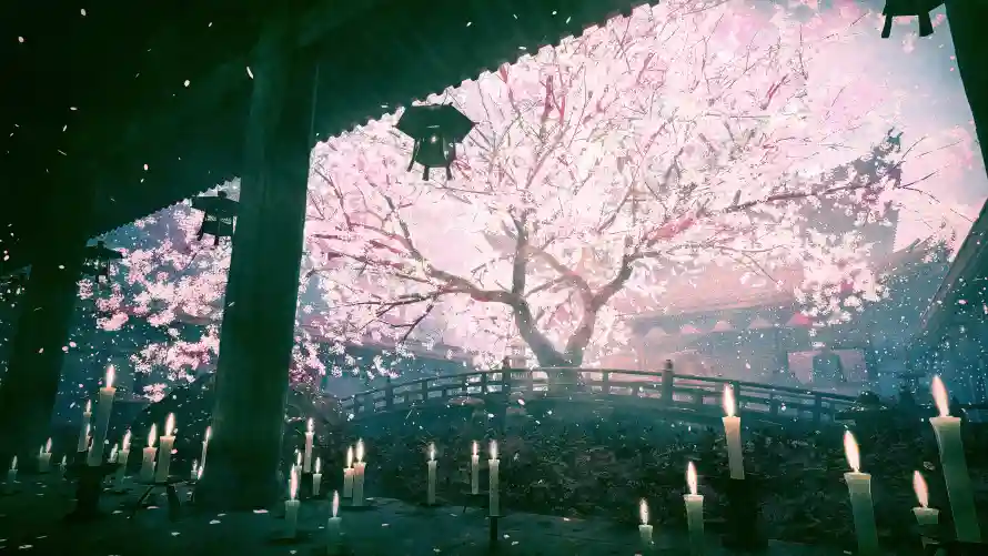 4k动漫壁纸 - 场景 - 夜景 - 樱花「哲风壁纸」 4k动漫壁纸 - 场景 - 夜景 - 樱花「哲风壁纸」