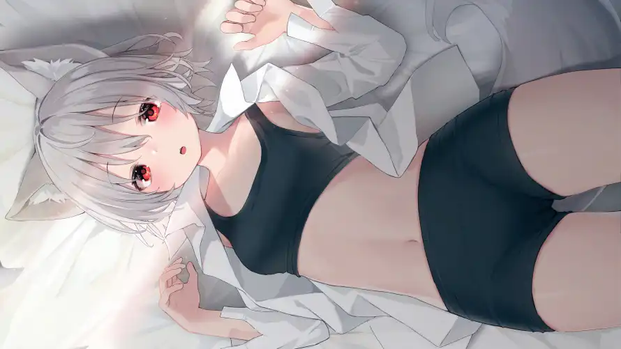 4k动漫壁纸 - 萌娘 - 银发 - 兽耳娘「哲风壁纸」